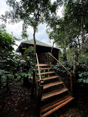 Greenex Farms by null