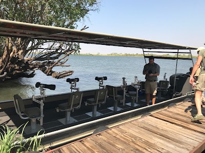 Photos of Pangolin Photo Safaris