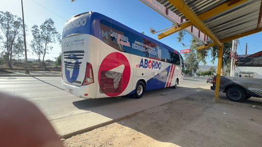 Terminal de Autobuses TBC (Transporte de Baja California) - Thumbnail