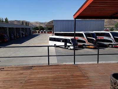 Photos of EPYSA Buses