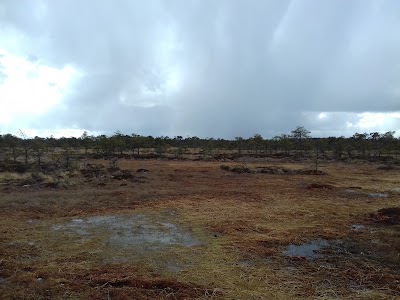 Photos of Matsim&auml;e karj&auml;&auml;ri l&otilde;kkekoht