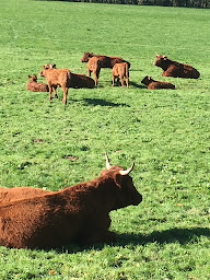 Photo n°2 de SOLEIL VICOIS dans le cantal à Vic-sur-Cère (Location d'appartement de vacances)