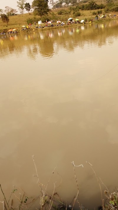 Photos of Pesqueiro do ti&atilde;ozinho