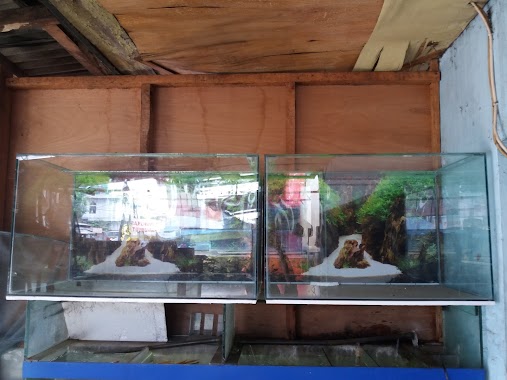 Annisa Aquarium, Author: Annisa Aquarium