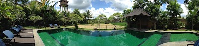 Photos of Manta Dive
