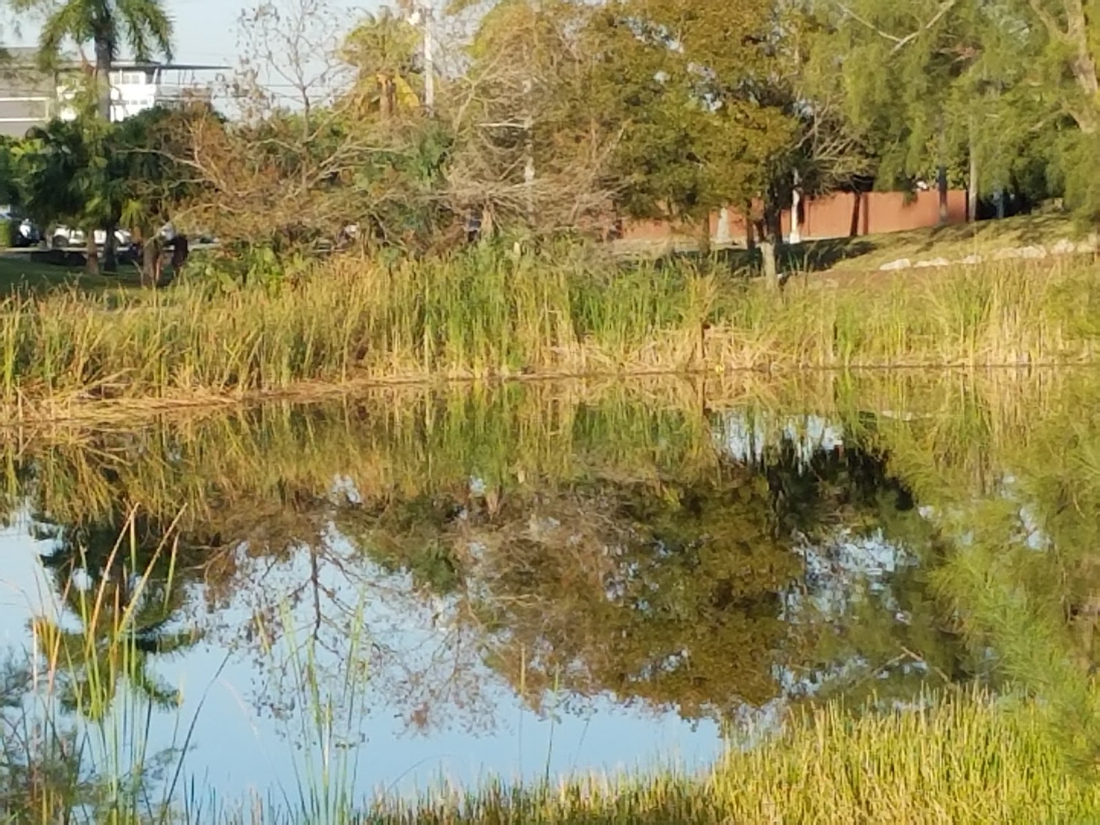 Visit A D Barnes Park On Your Trip To Miami Or United States