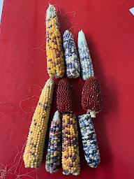 Photo n°12 de SCEA de Rochefort à Rochefort-sur-la-Côte (Ferme)