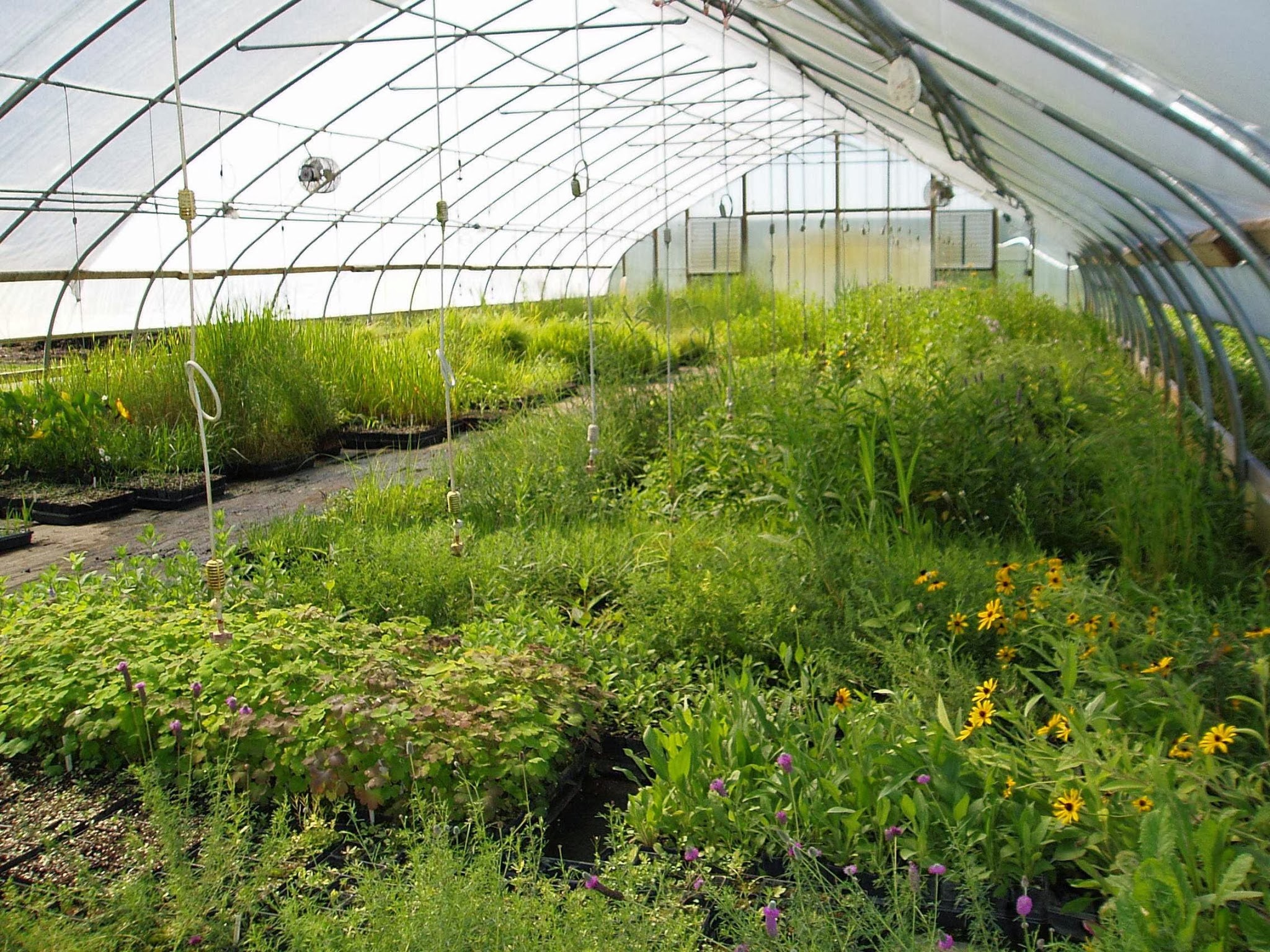 Natural Shore Technologies Inc