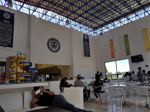 Cafetería UTH - Visual