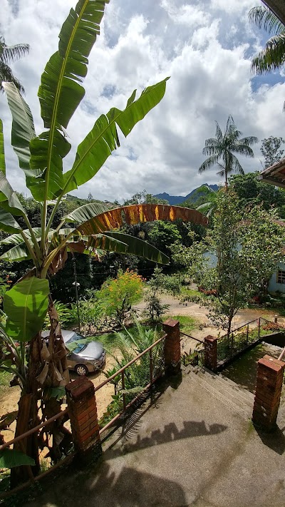 Photos of Pousada Arboretum