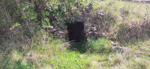 Los tornajuelos - Visual
