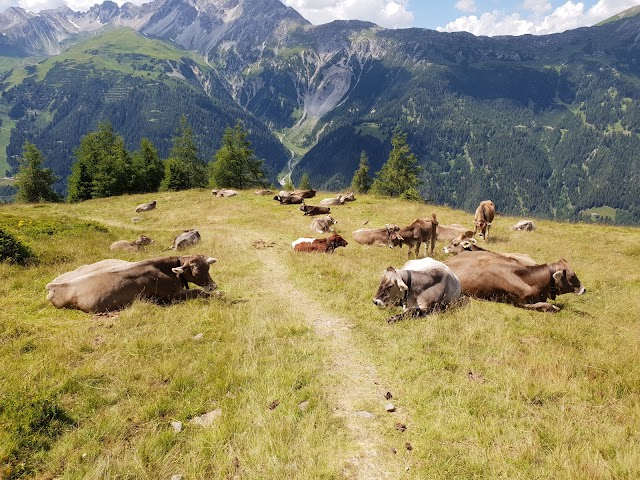 Val Di Fiemme, Ski Areal