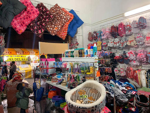 +QM petshop and fashion boutique - Thumbnail