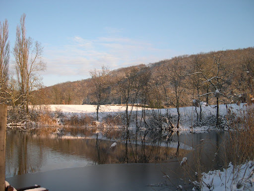 Vegisère Parc d'Hivernage