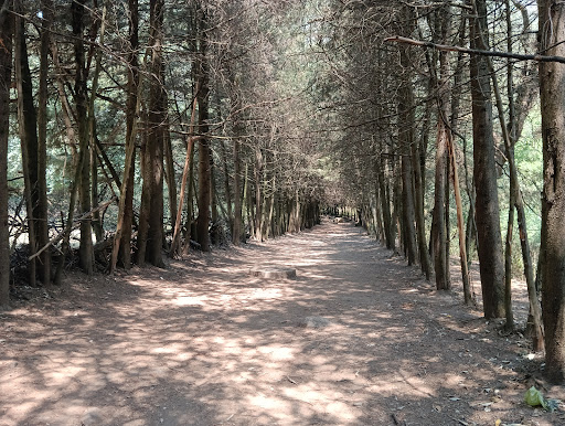 Los Dinamos National Park - Thumbnail