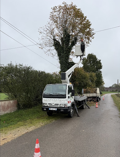 ENT.S.RODIER Paysagiste et Elagueur