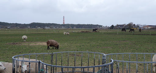 Hollum, De Stelp Gallery - Netherlands