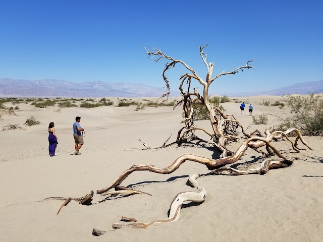 Mesquite Flat Sand Dunes