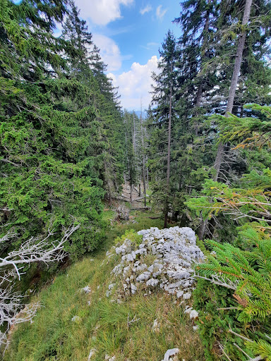 Salwand - Visual