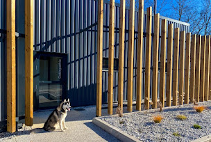 Photo n°12 de Ostéoanimaux à Saint-Paul-lès-Dax (Physiatre)