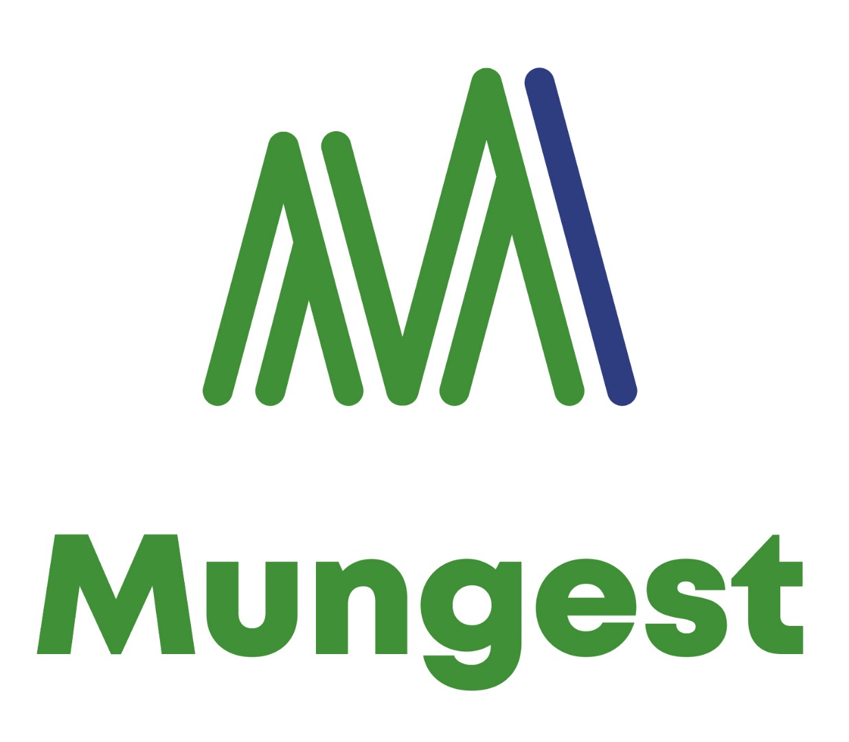 Mungest S.L.