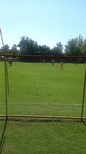 Opiniones de Futbolito Andino en Calle Larga - Campo de fútbol