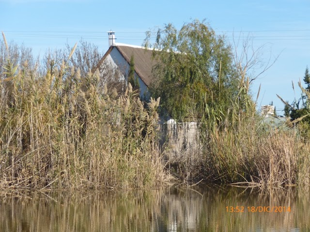 Parc naturel de l'Albufera