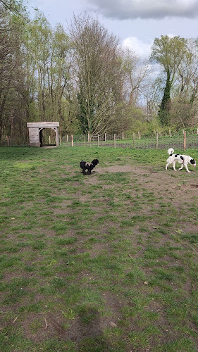 Hondenloopweide Rozebroeken
