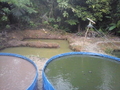 Photos of Hakim Farm