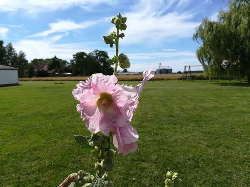 Naturerlebnishof Lindner - Thumbnail