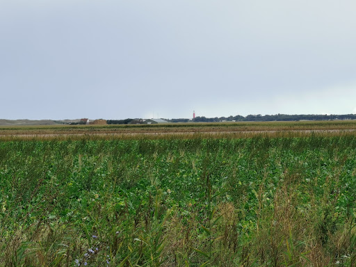 Slufterhoeve - Thumbnail