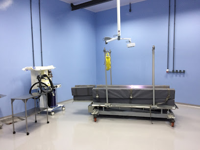 Grande Porte Centro Cirúrgico Equino