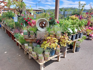 Photo n°25 de GAMM VERT à Sorbiers (Pépinière)