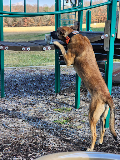 Farmington Township Park - Thumbnail