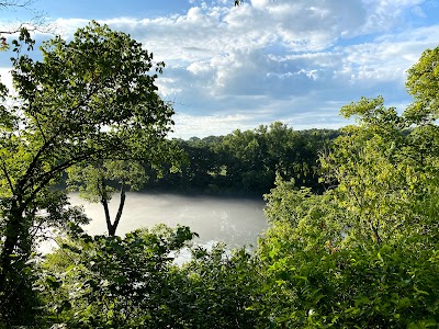 Lakeside Forest Wilderness Area