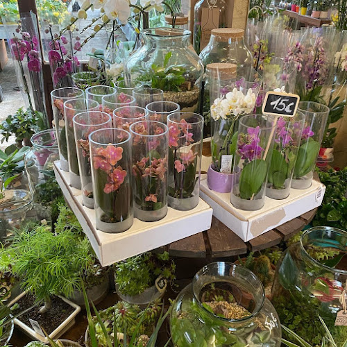 SERRE DE MONTJAY - Pontault-Combault