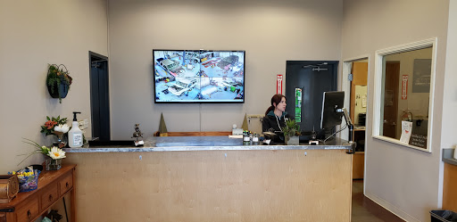 Meyers Auto Tech - Visual