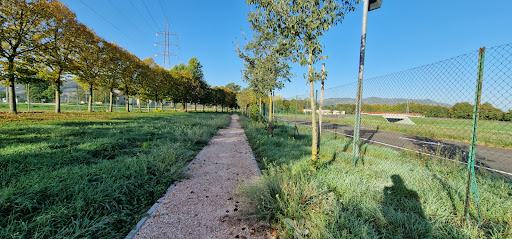 Pista ciclabile
