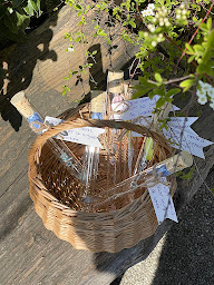 Photo n°17 de Ô FENG SHUI/Edith Aligne à Canet-en-Roussillon (Professeur de yoga)