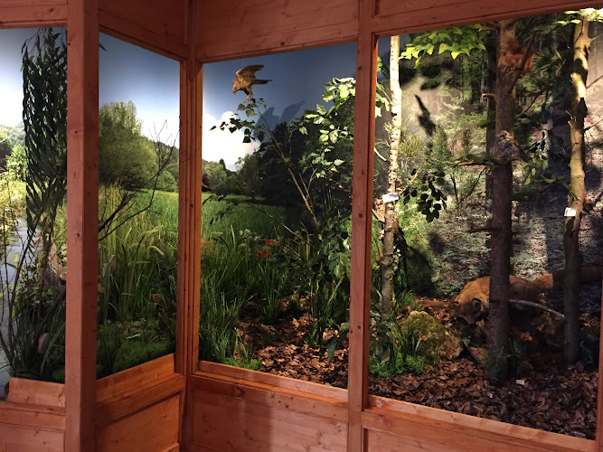 Naturkundliches Heimatmuseum