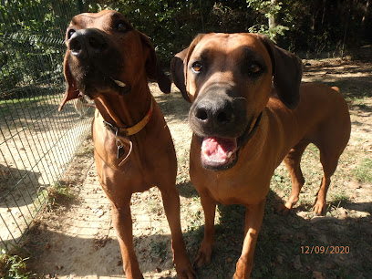 A.P.S Animaux Passions Services