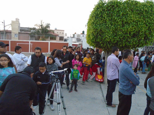 CAMARA JUNIOR - Thumbnail
