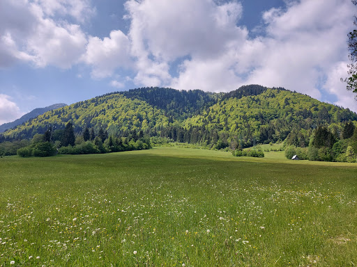 Skiverleih - Noleggio Sci - Thumbnail