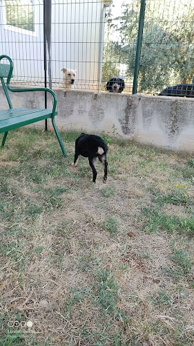Veterinarska bolnica Poreč