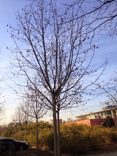 Photos of Zhengzhou Normal University