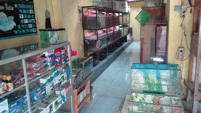 Photos of Muara Aquarium