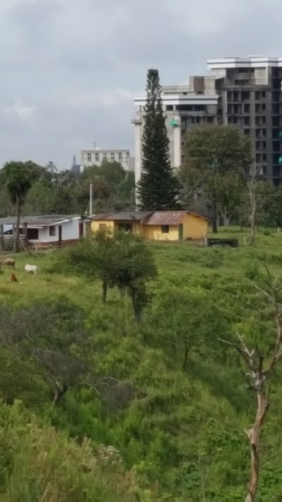 Photos of Sodimac Homecenter Corona