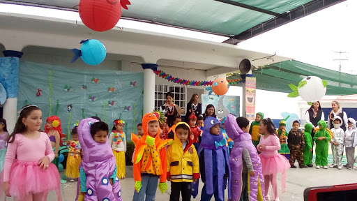 Primaria Colegio Nitamani - Thumbnail