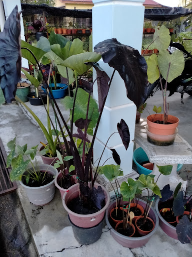Kedai Baikpulih Kasut dan Beg