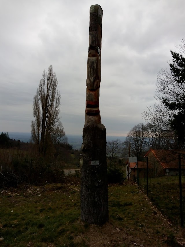 Arboretum des Grands Murcins
